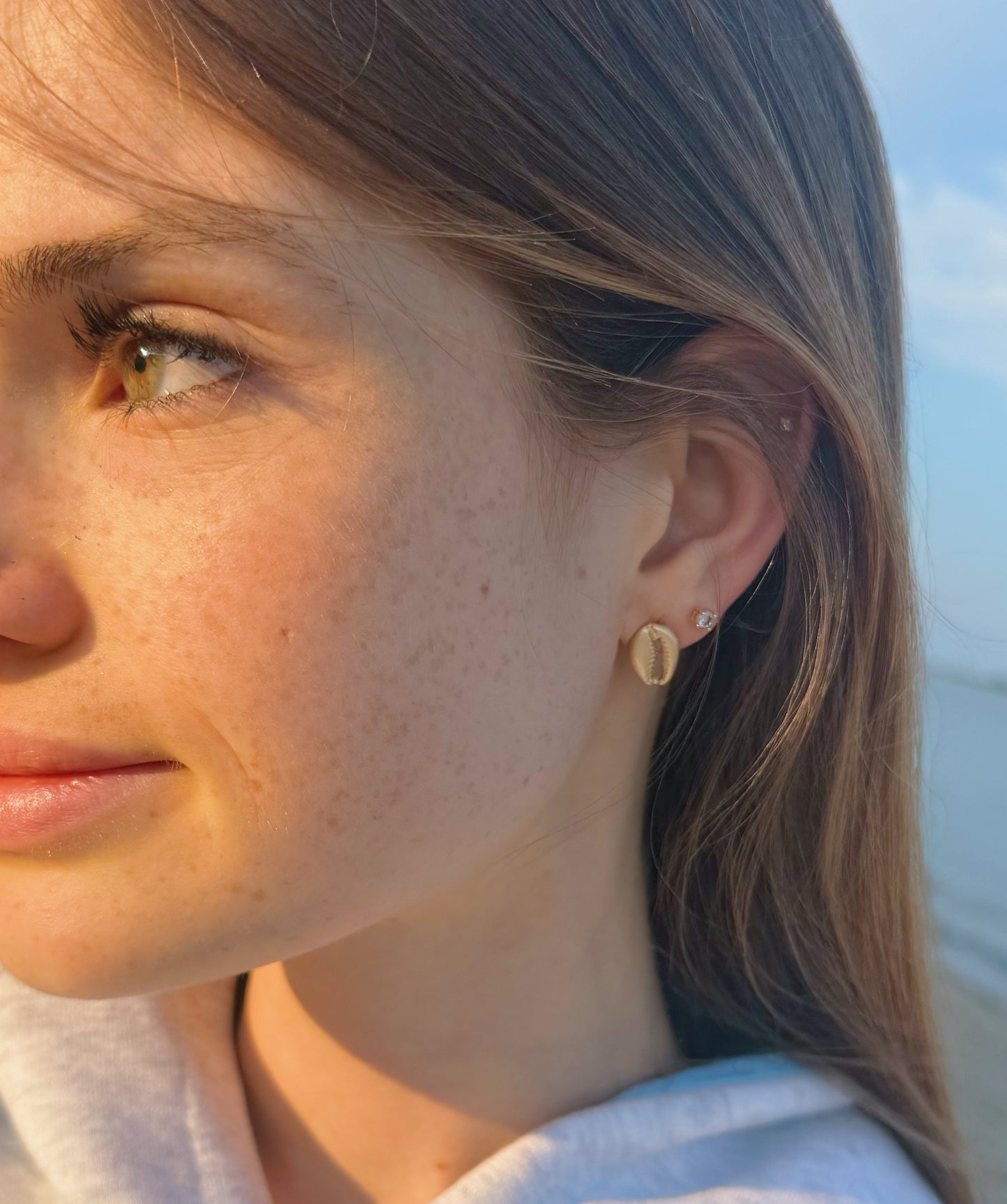 Gold Cowrie Shell Stud Earrings