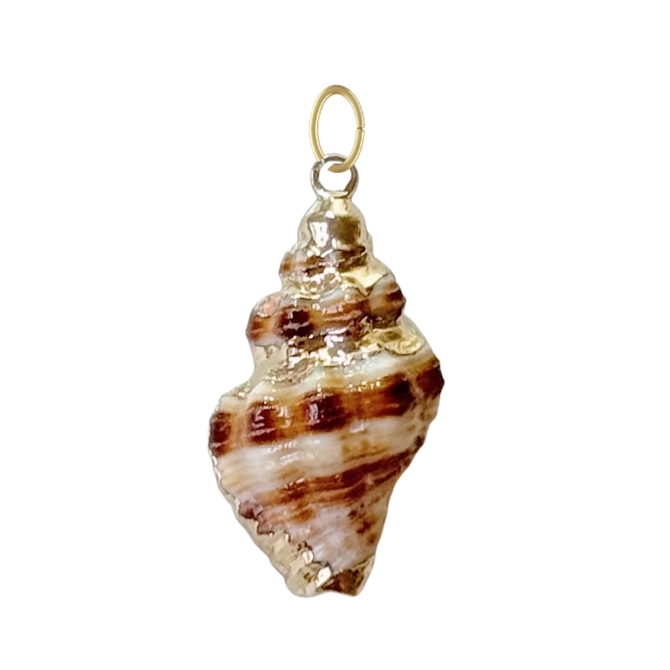 Natural Conch Shell Pendant