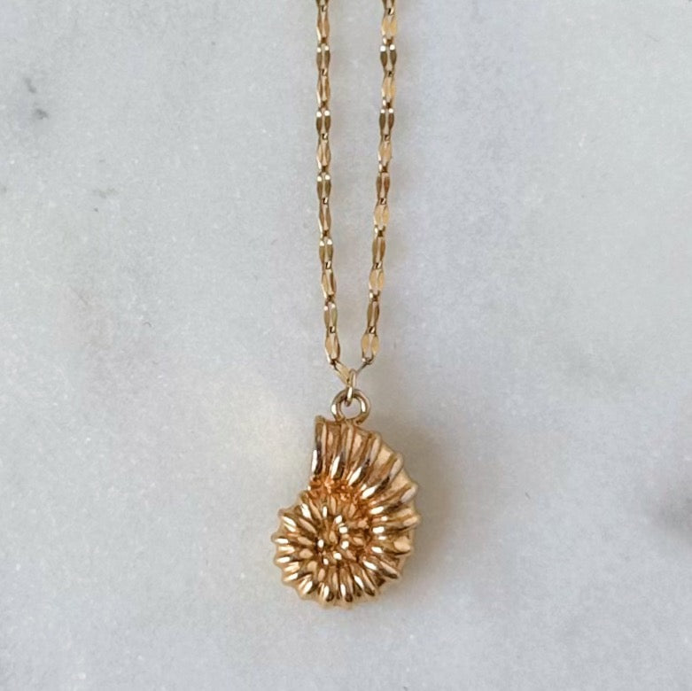 The Rebecca Spiral Shell Necklace