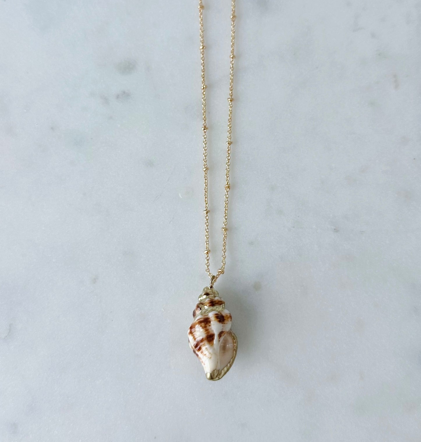 Gold Seashell Necklaces