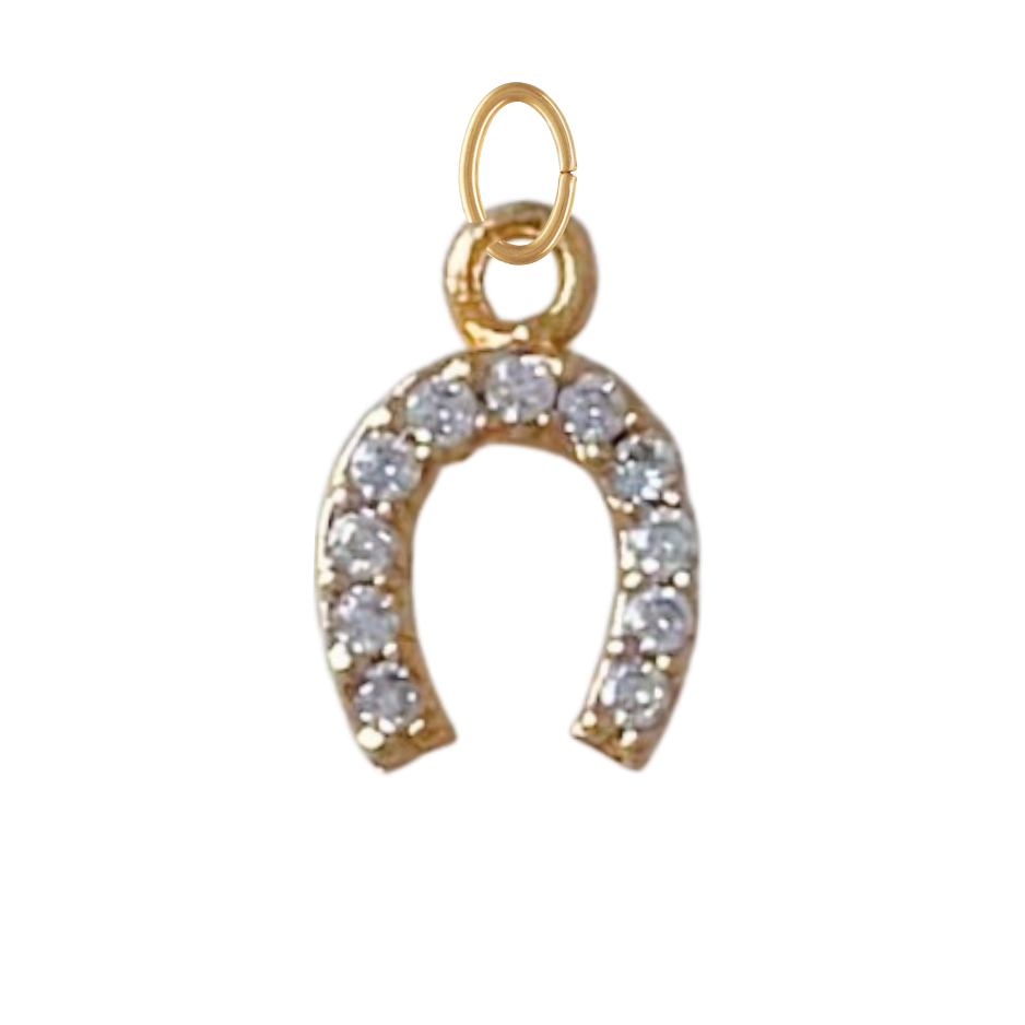 Dainty CZ Gem Horseshoe Charm
