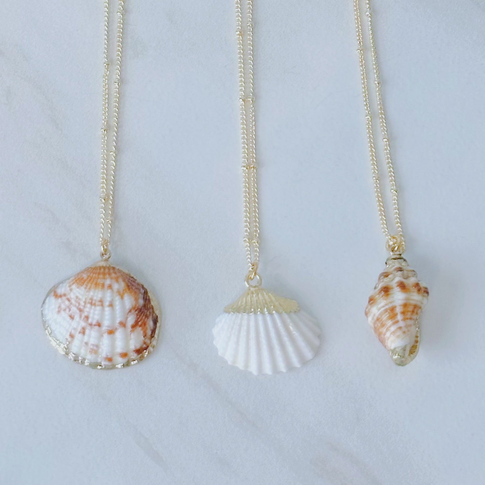 Gold Seashell Necklaces – Salt June