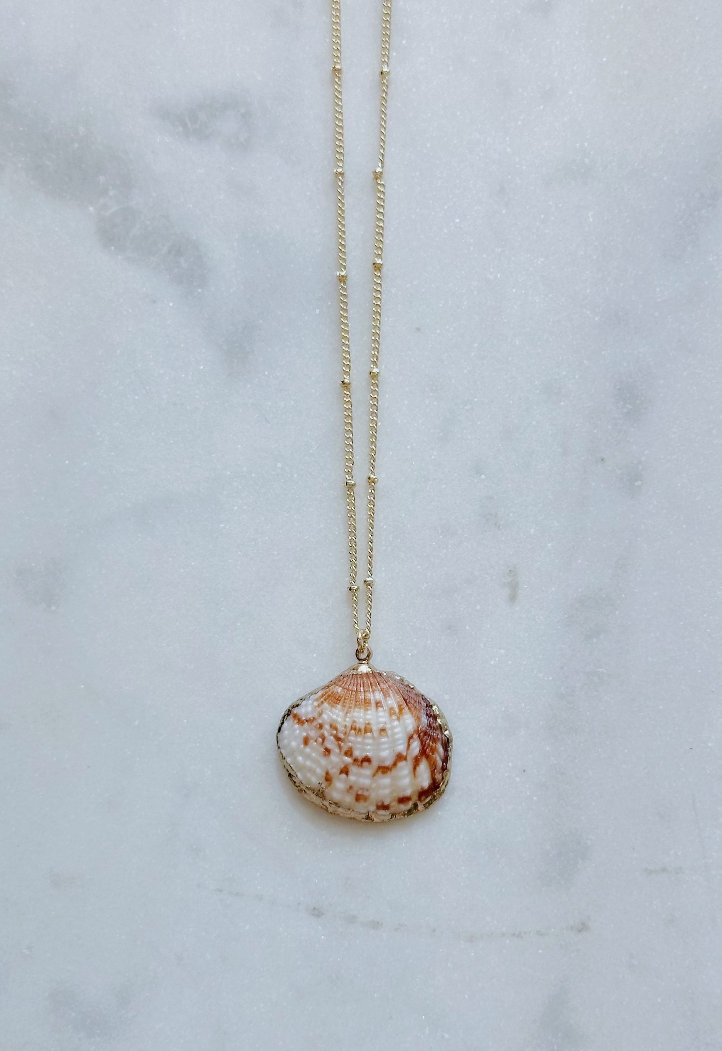 Gold Seashell Necklaces
