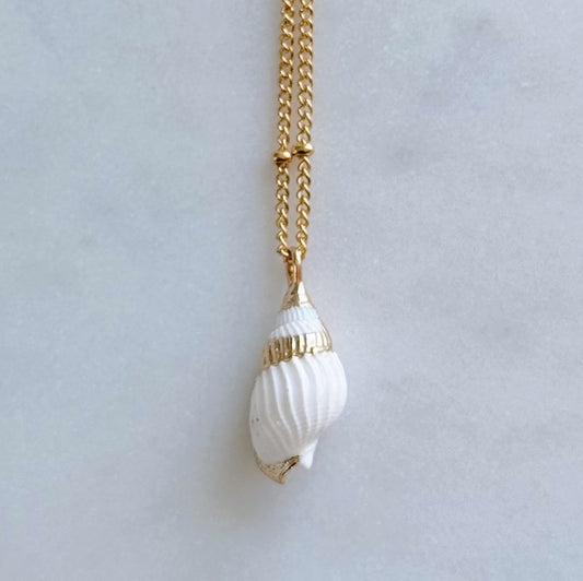 Dainty Gold Tulip Shell Necklace