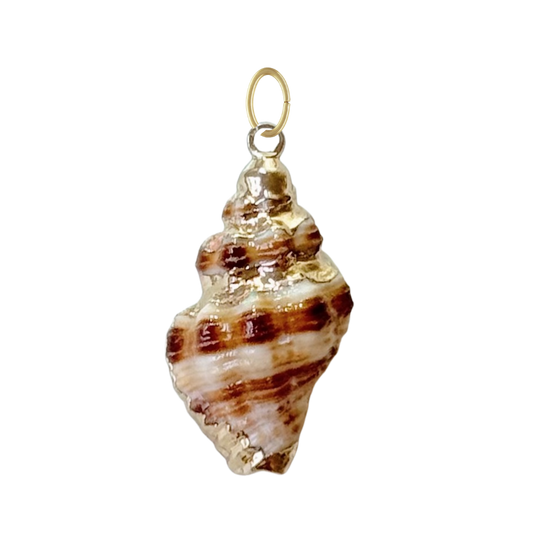 Natural Conch Shell Pendant