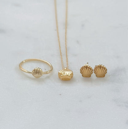 Dainty Gold Seashell Gift Set