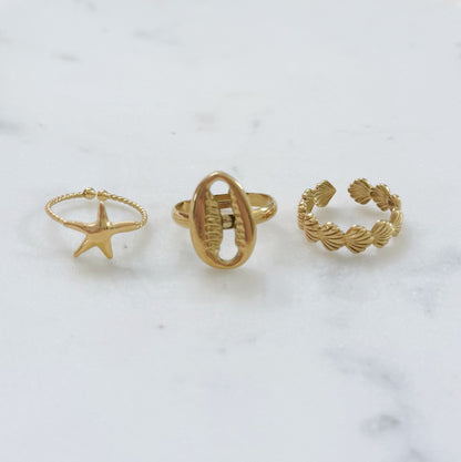 Gold Coastal Shell Ring Set