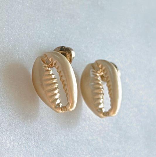 Gold cowrie shell stud earrings