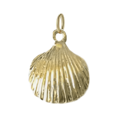 Gold Clamshell Charm