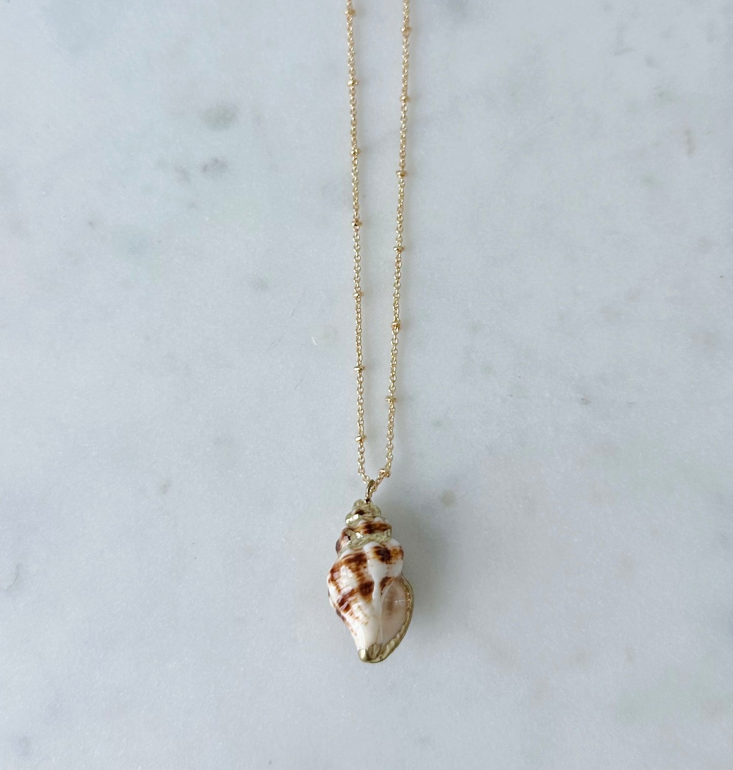 Gold seashell necklaces