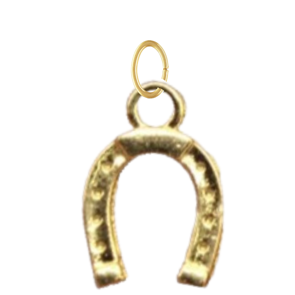 Large Gold Horse Shoe Charm
