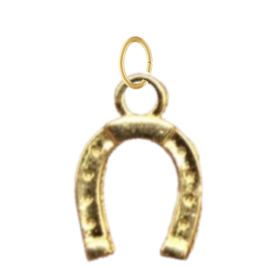 Large Gold Horse Shoe Charm