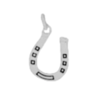 Silver Horse Shoe Charm