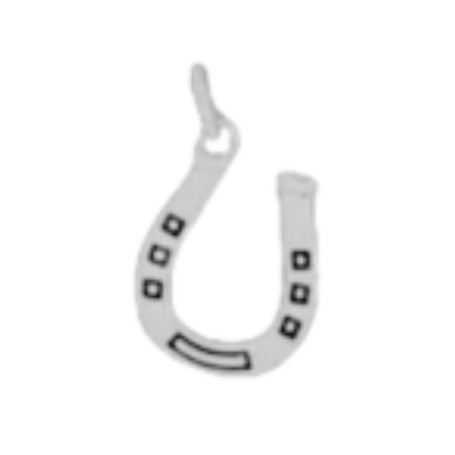 Silver Horse Shoe Charm