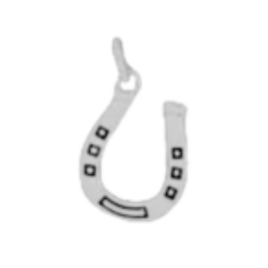 Silver Horse Shoe Charm