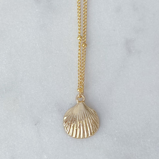 Gold clam shell necklace