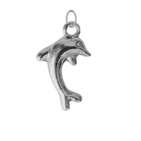 Silver Dolphin Charm