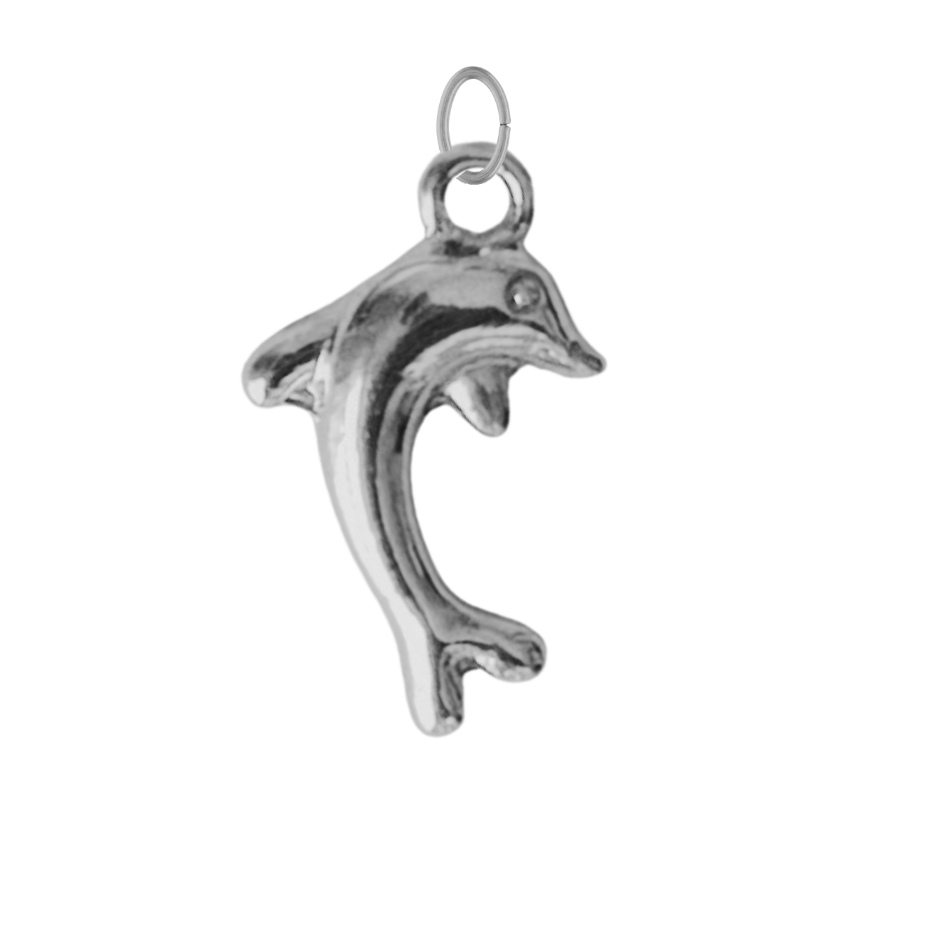 Silver Dolphin Charm
