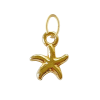 Dainty Gold Starfish Charm
