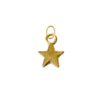 Tiny Gold Star Charm