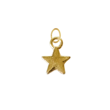 Tiny Gold Star Charm