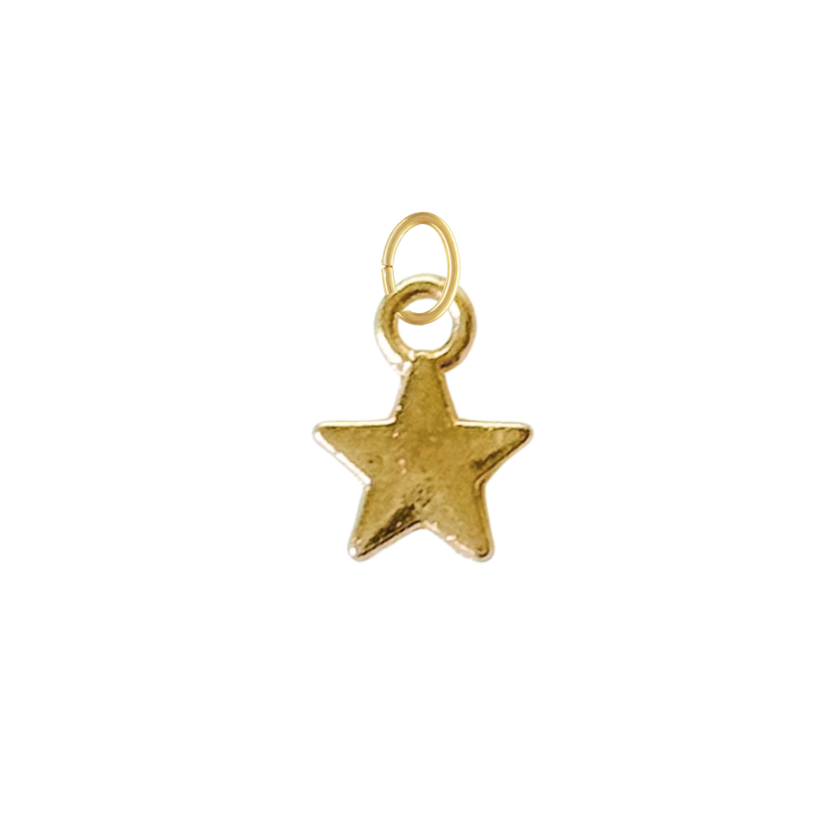 Tiny Gold Star Charm