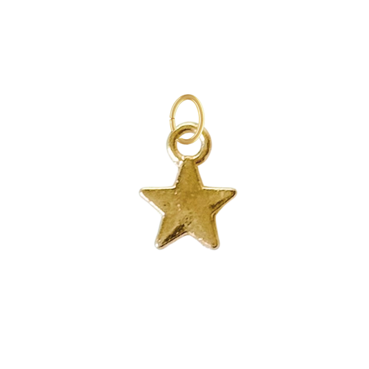 Tiny Gold Star Charm