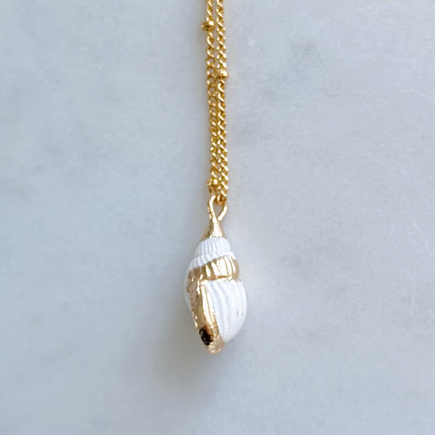 Dainty Gold Tulip Shell Necklace