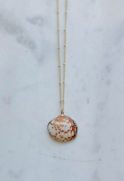 Gold seashell necklaces